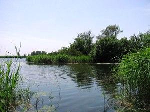 Тривають екологічні заходи присвячені Дню малих річок